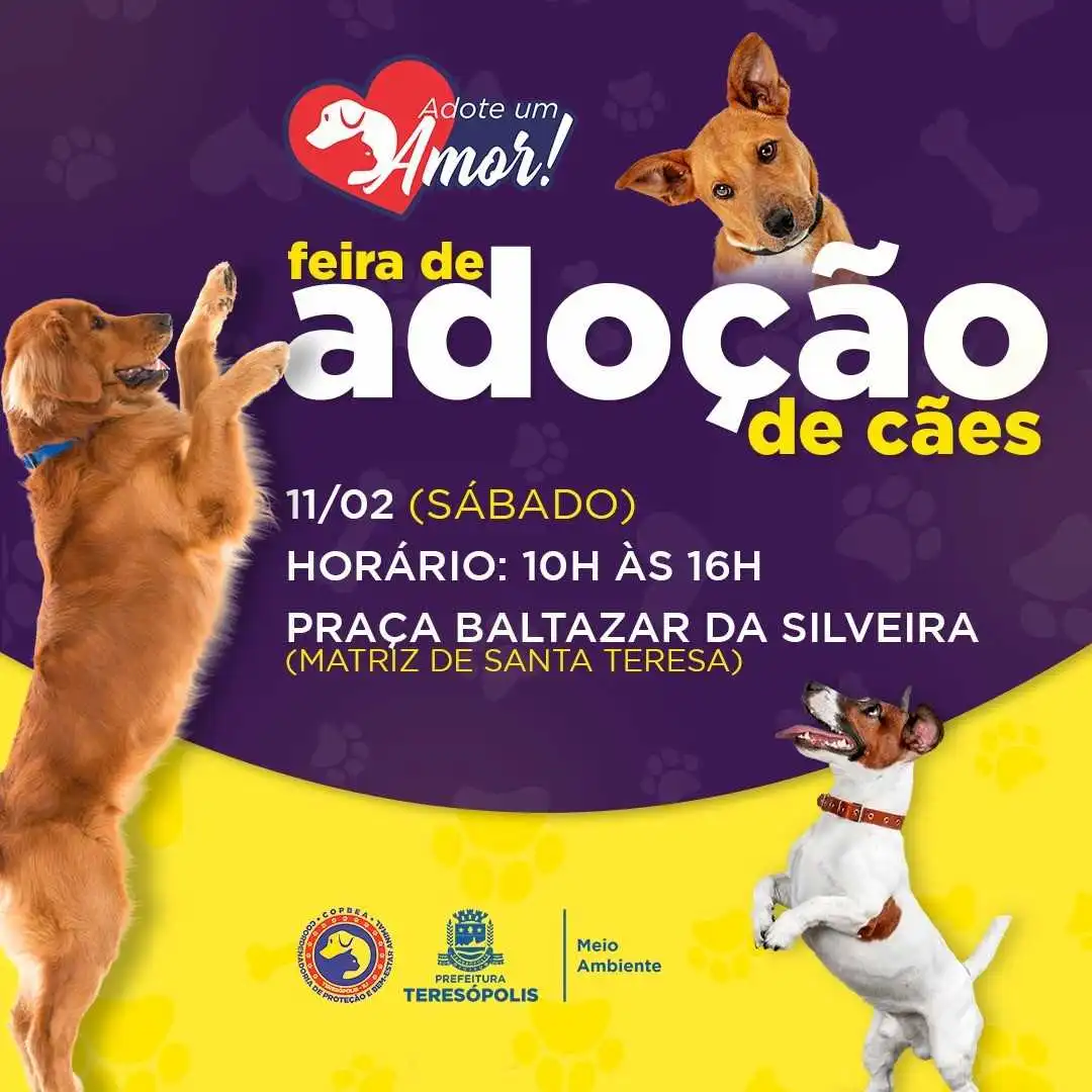 Adote um AUmigo: COPBEA realiza mais uma edição da feira de cães neste sábado, na Praça Santa Teresa em Teresópolis