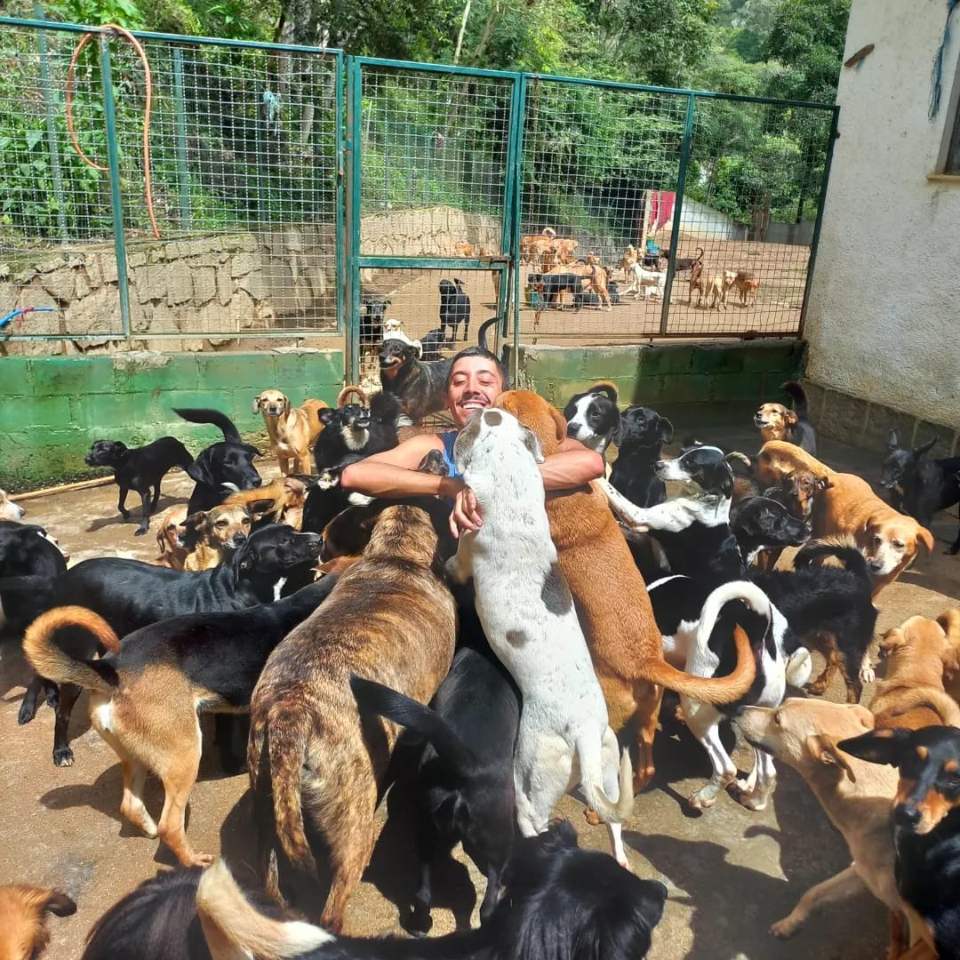 Protetor animal Teresopolitano cuida de mais de 400 cães