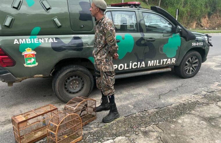 Linha Verde leva polícia a resgatar pássaros de cativeiro em Petrópolis