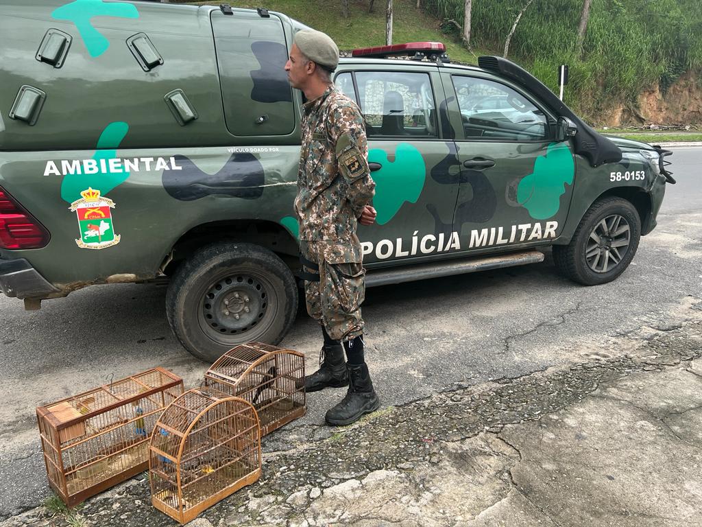 Linha Verde leva polícia a resgatar pássaros de cativeiro em Petrópolis