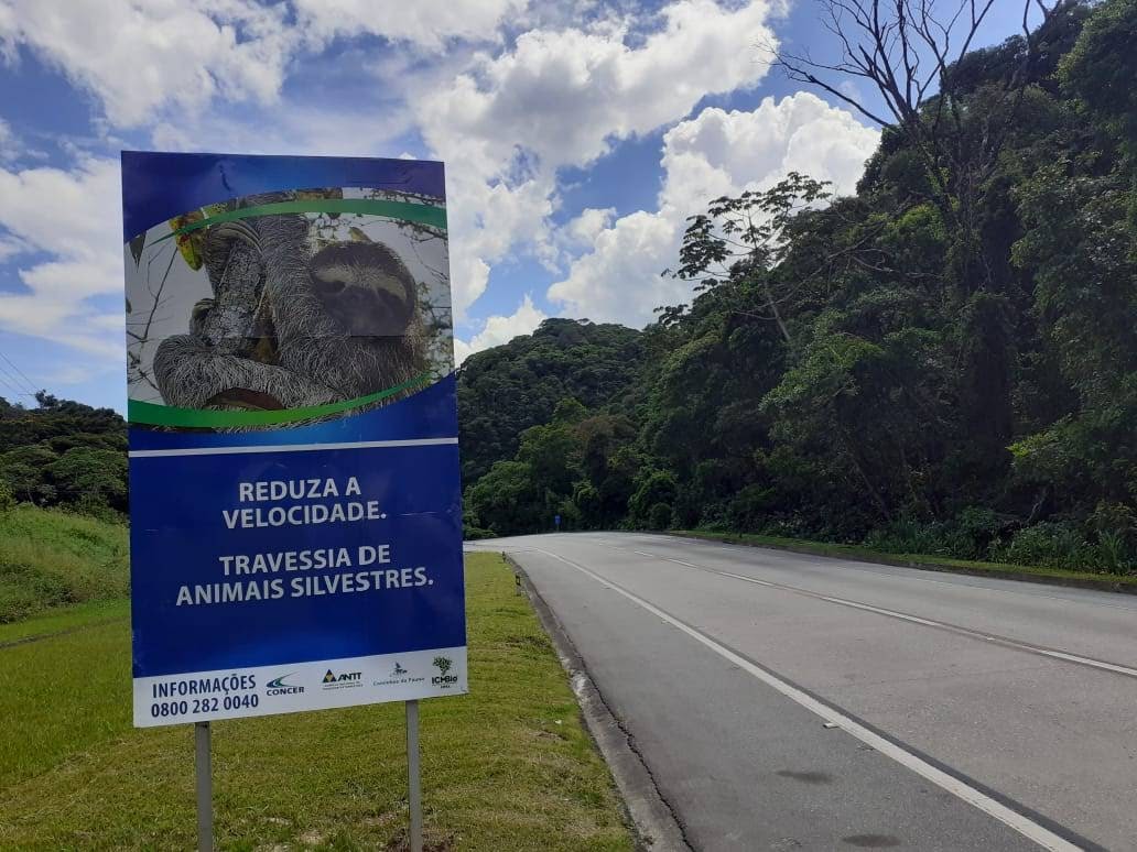 Concer divulga que em 2022, 113 animais foram resgatados na BR-040