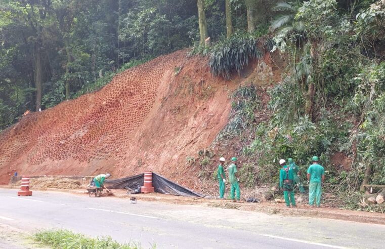 Subida da serra recebe interdições pontuais para cortes de árvores