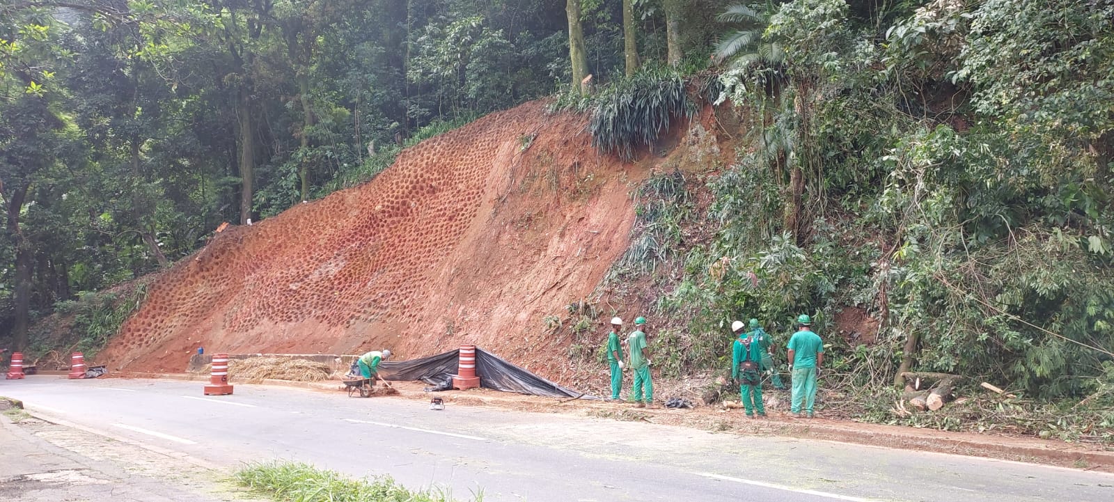 Subida da serra recebe interdições pontuais para cortes de árvores