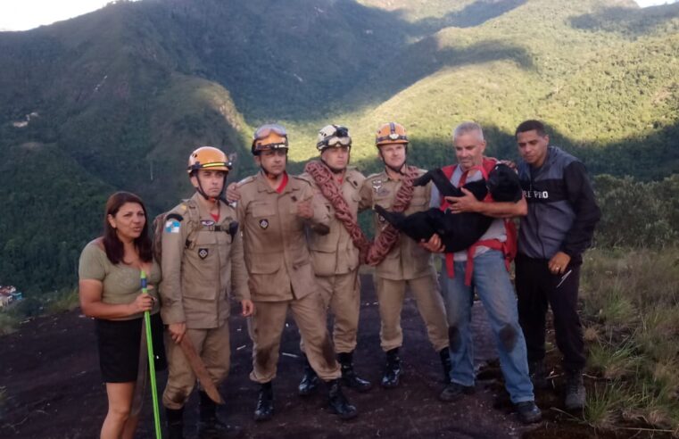 Corpo de Bombeiros resgata cão em trilha do Morin. Animal havia caído em uma fenda