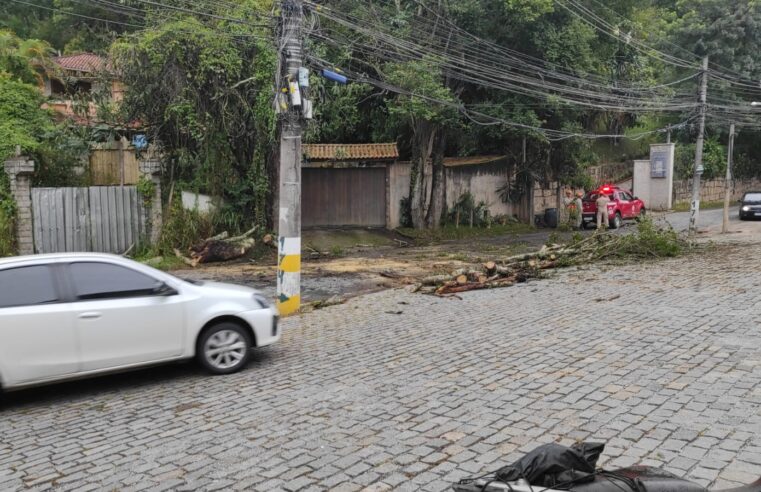 Árvore cai e atinge veículo em Petrópolis