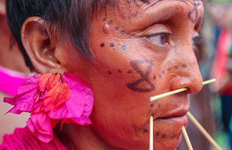 Ibama cria&nbsp;sala de combate ao&nbsp;garimpo ilegal&nbsp;em&nbsp;terra Yanomami
