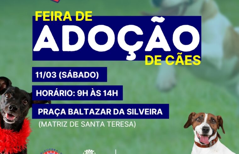 Feira de adoção de cães acontece neste sábado, 11/03, em Teresópolis