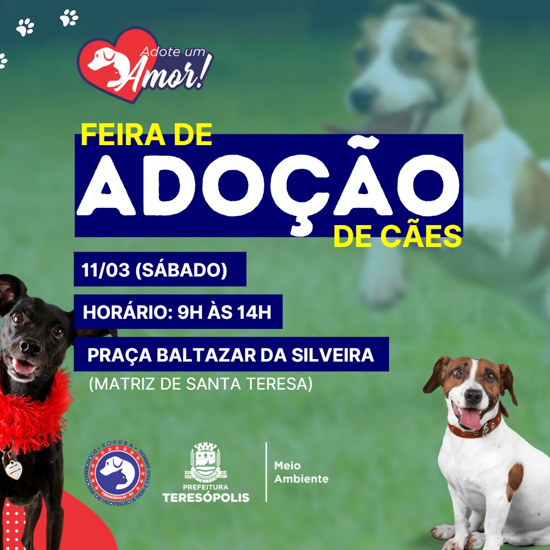 Feira de adoção de cães acontece neste sábado, 11/03, em Teresópolis