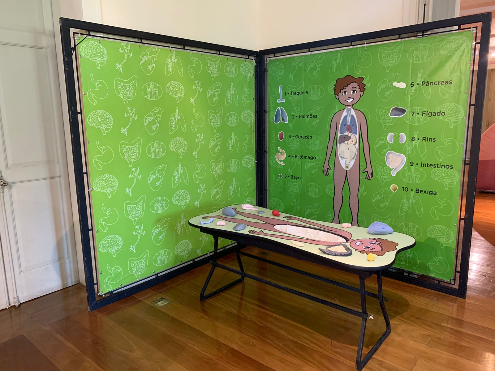 Palácio Itaboraí recebe exposição sobre o Corpo Humano do Museu da Vida Fiocruz&nbsp;