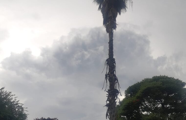 Defesa Civil emite alerta via SMS de pancadas de chuva para o município de Petrópolis
