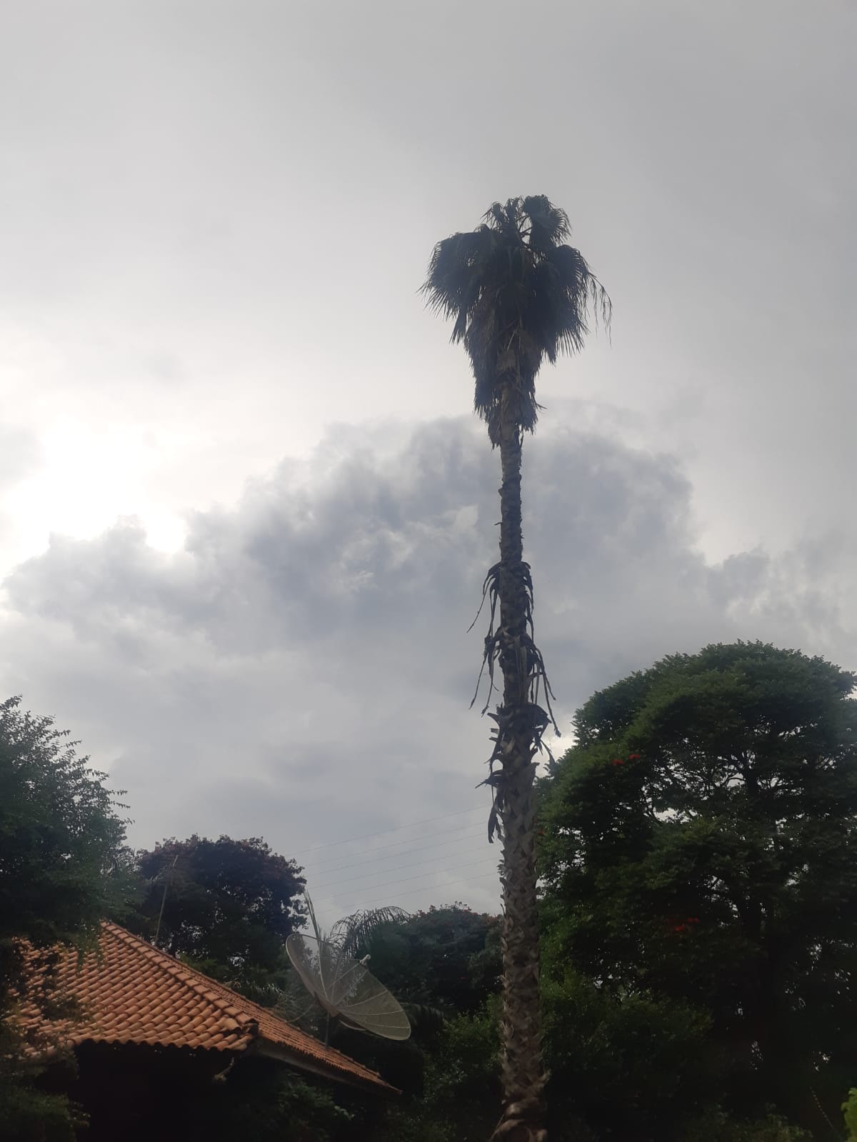Defesa Civil emite alerta via SMS de pancadas de chuva para o município de Petrópolis