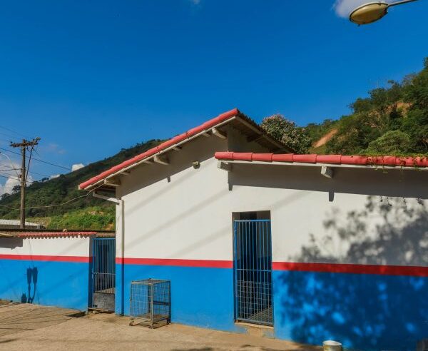 Canil Municipal recebe visita técnica para planejar obras de ampliação da unidade