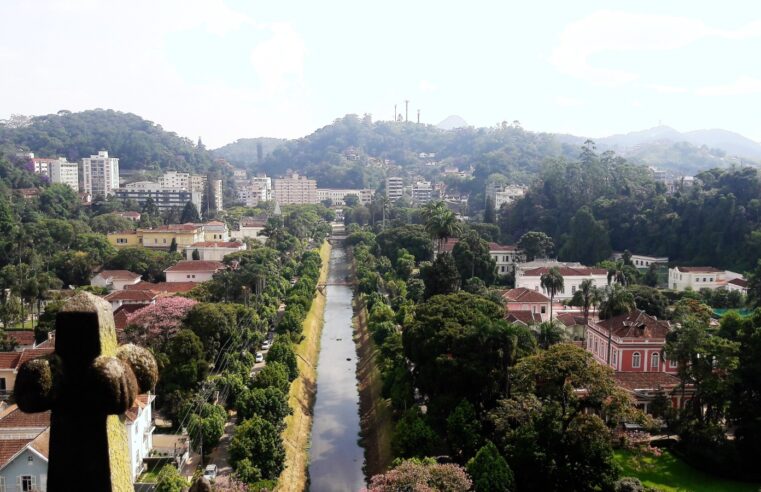 Câmara aprova Indicação Legislativa que prevê Plano Municipal de Arborização Urbana
