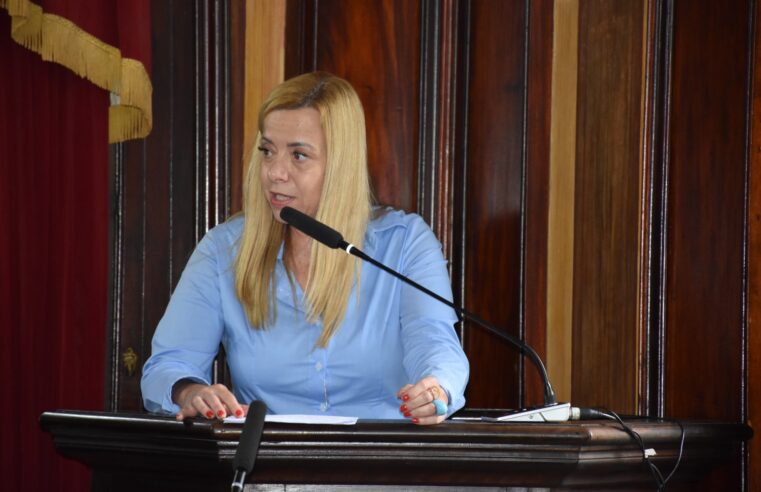 Câmara aprova projeto de lei que institui a política municipal de empoderamento da mulher