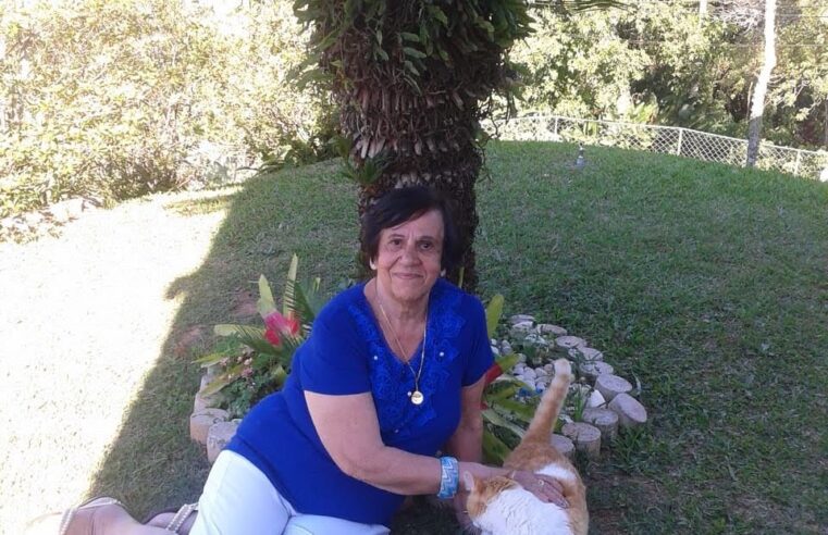 Família de idosa que morreu após ser atropelada, em Petrópolis, cobra por justiça