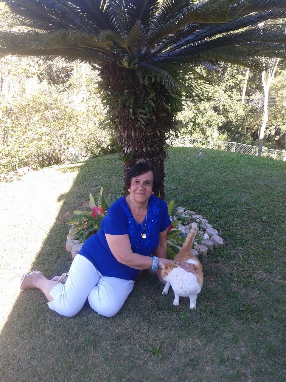 Família de idosa que morreu após ser atropelada, em Petrópolis, cobra por justiça