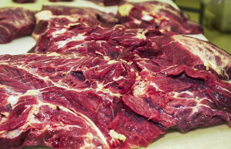 Brasil poderá exportar carne bovina para o México