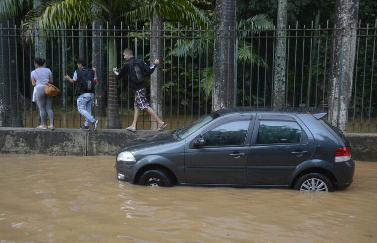 Estado do Rio tem 24 casos confirmados de leptospirose este ano