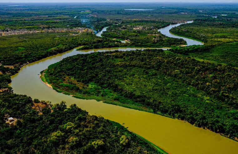 Projeto poderá ampliar proteção ao Pantanal