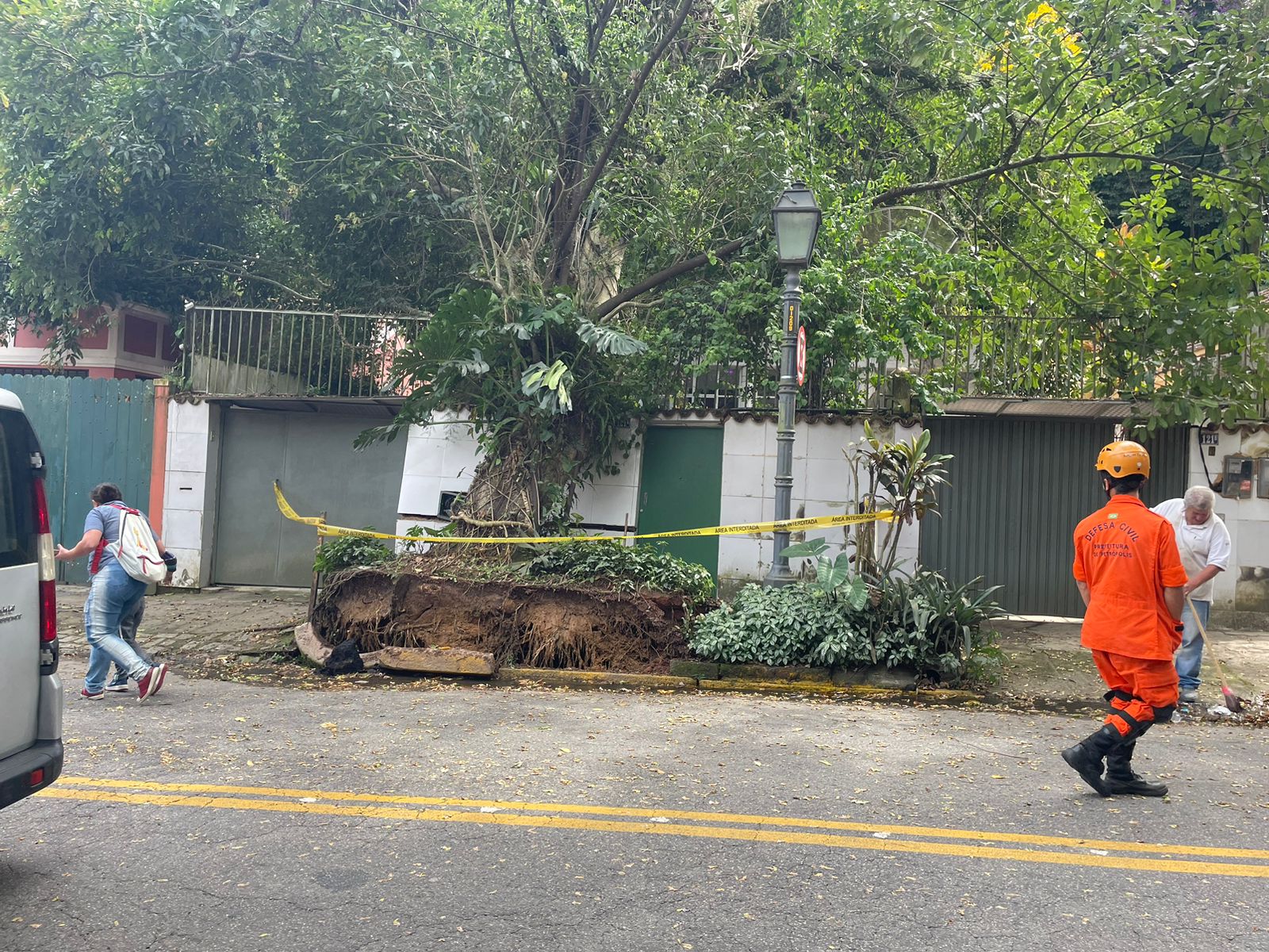Árvore de grade porte interdita parcialmente a Av. Dom Pedro I no Centro de Petrópolis