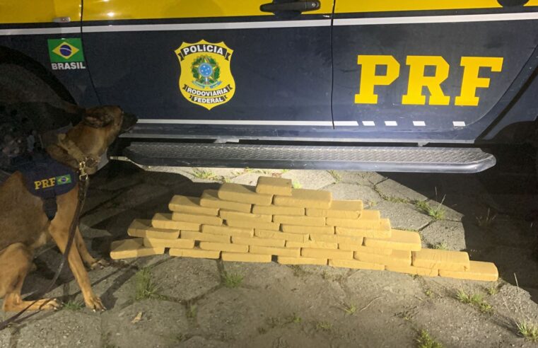PRF apreende 37 tabletes de maconha em Piraí-RJ