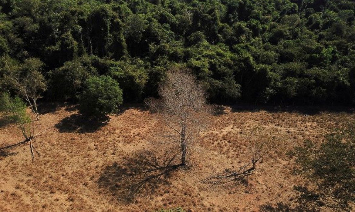 Um em cada 3 jovens não sabem o bioma em que vivem