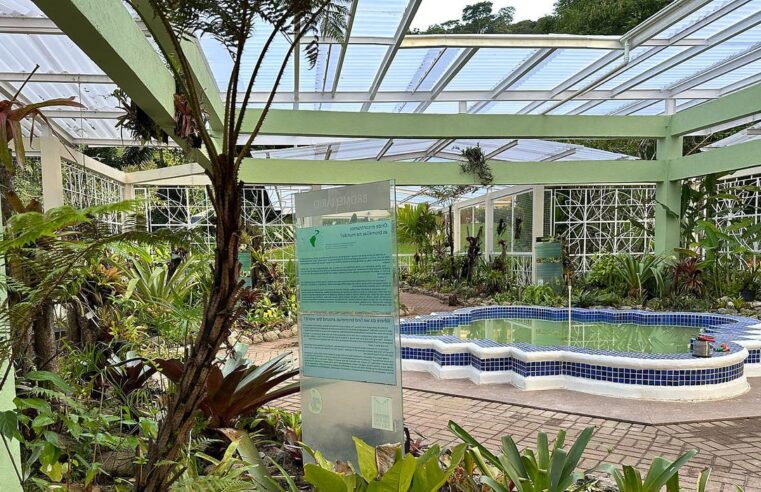 Jardim Botânico do Rio reabre bromeliário, após nove meses em obras