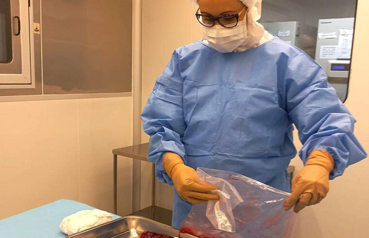 Pesquisa desenvolve curativos biológicos à base de placenta