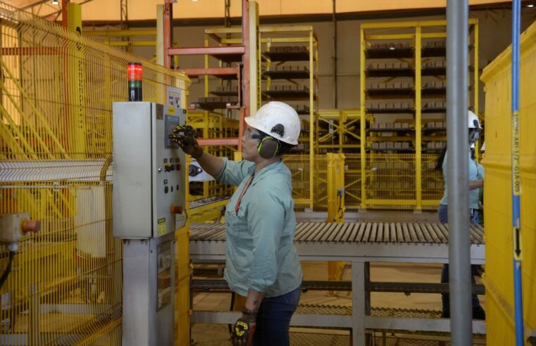 Produção industrial caiu 0,2% em fevereiro 