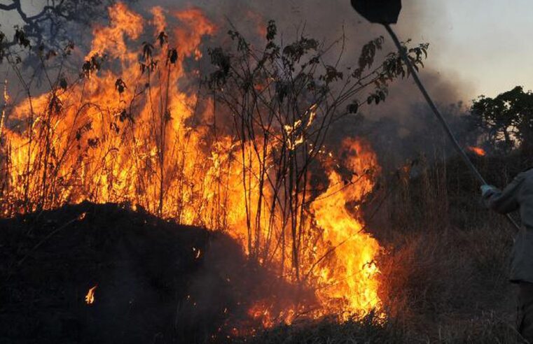 Petrópolis registra 79 incêndios florestais no primeiro semestre