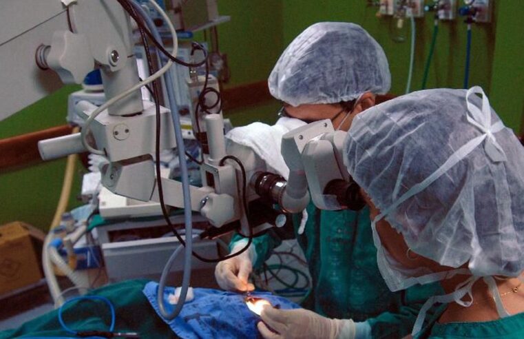 Hospitais universitários são referência em transplantes de órgãos