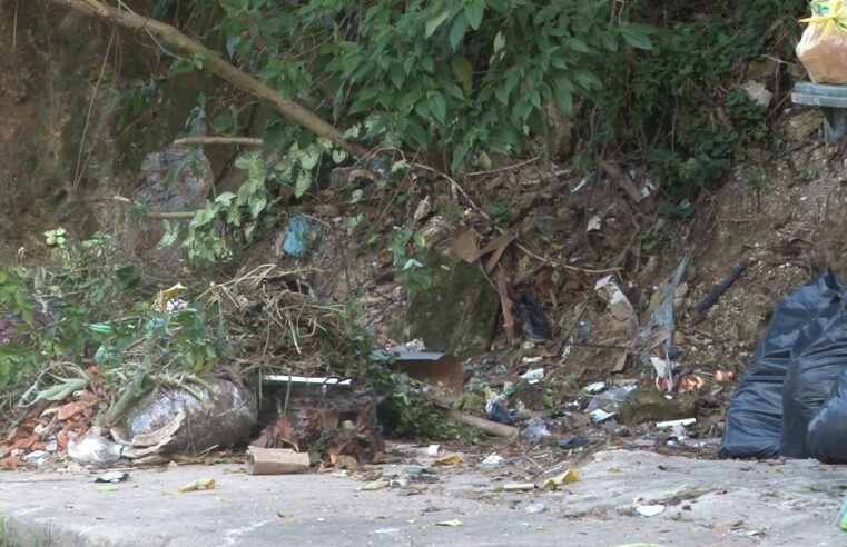 Falta de capina e postes sem luz prejudicam moradores da Vila Militar em Petrópolis