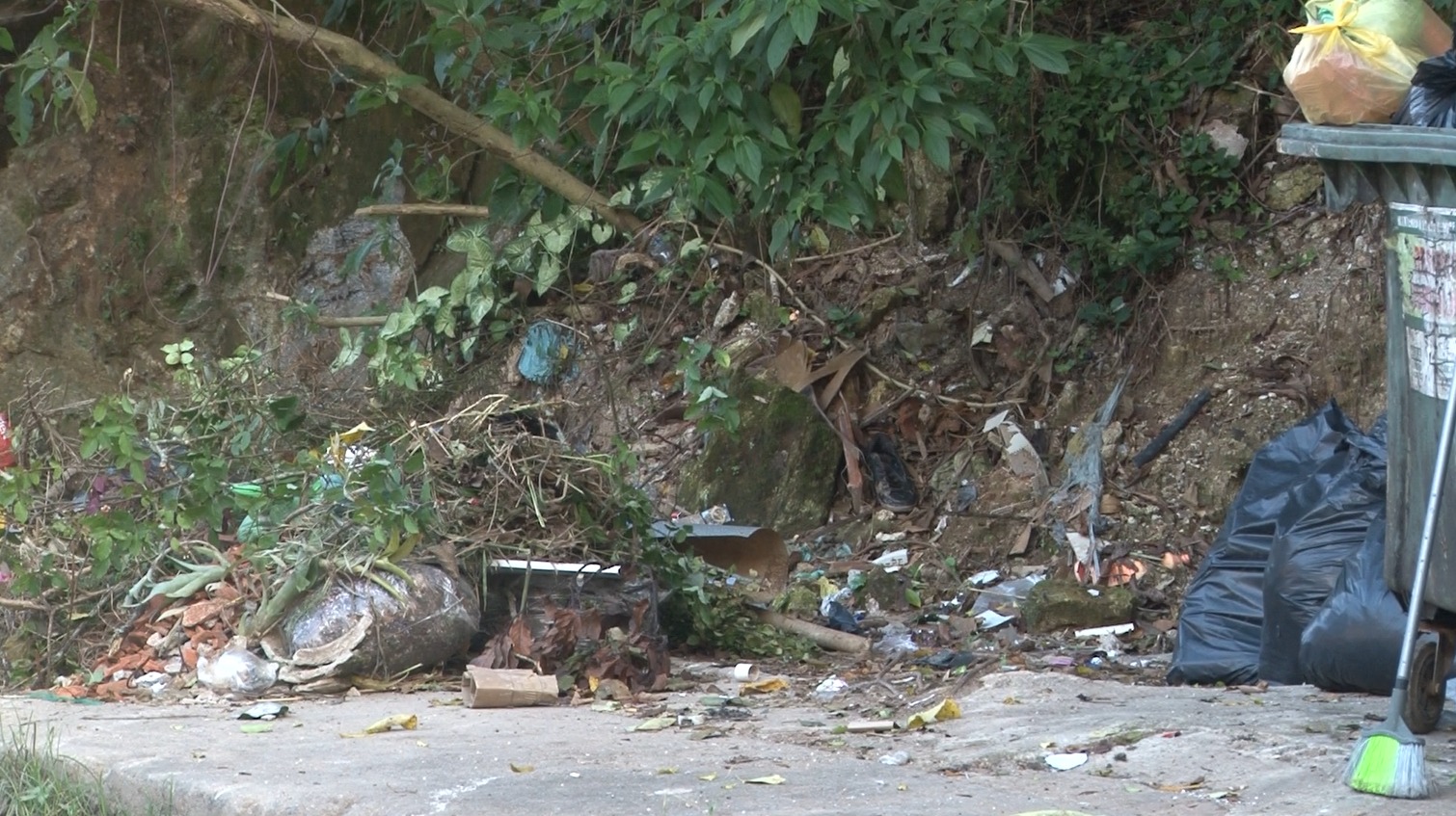 Falta de capina e postes sem luz prejudicam moradores da Vila Militar em Petrópolis