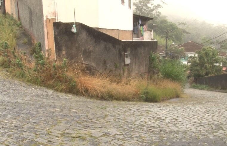 Além dos problemas relacionados com ônibus, moradores do Gulf, em Petrópolis, denunciam outro problemas