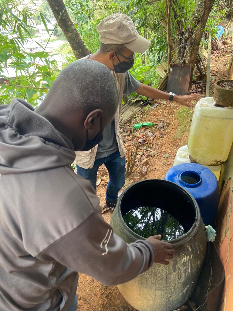 LIRAa: Petrópolis continua dentro dos parâmetros preconizados pelo MS