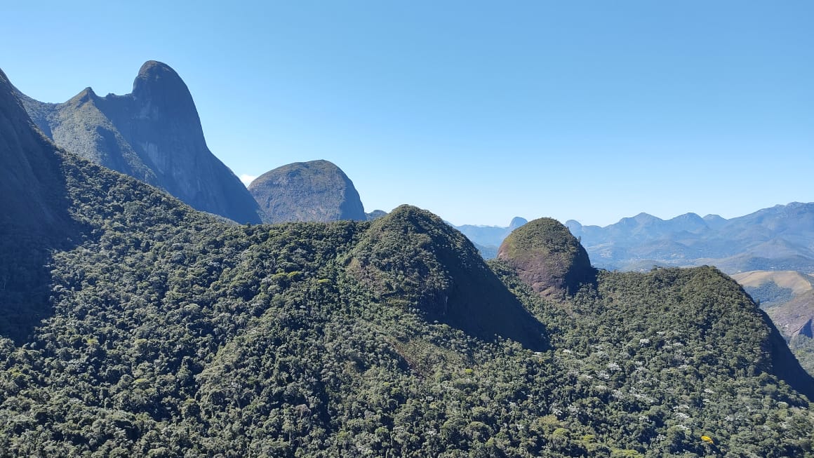 Grupo conquista prêmio Mosquetão de Ouro por ação em Petrópolis