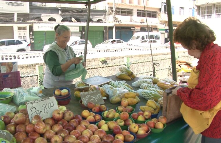 Boletim Prohort aponta queda nos preços de frutas e alta nas cotações de hortaliçasGabriel Faxola