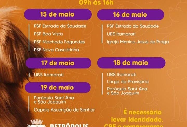 Prefeitura inicia cadastro para mutirões de castração de cães e gatos