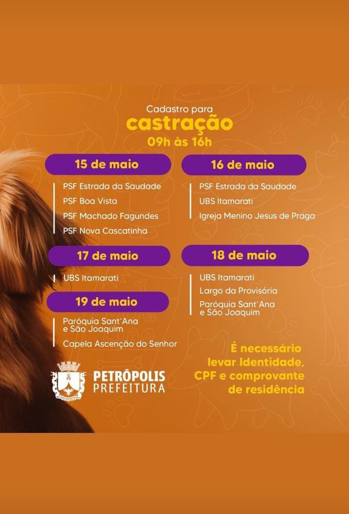 Prefeitura inicia cadastro para mutirões de castração de cães e gatos