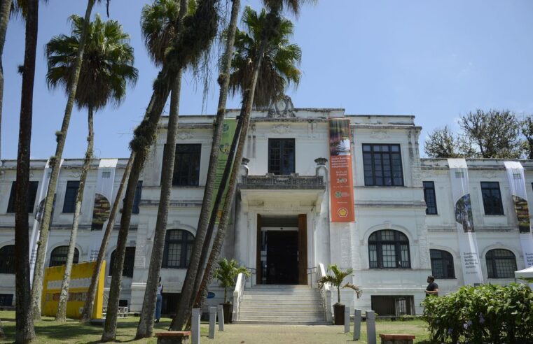 Jardim Botânico vai lançar planos para proteger flora de duas regiões