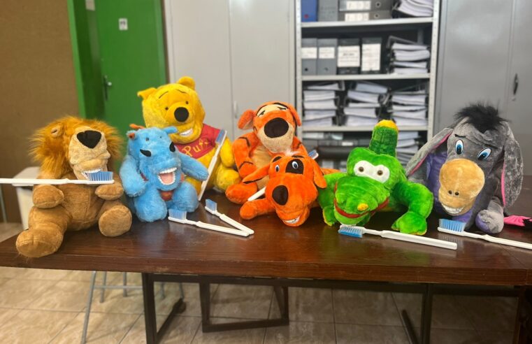 Fantoches odontológicos auxiliam no atendimento de crianças em Nova Friburgo