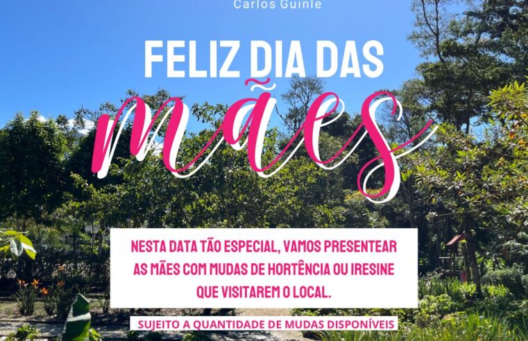 Mães que visitarem o Horto Municipal, neste domingo, serão presenteadas com mudas de plantas ornamentais