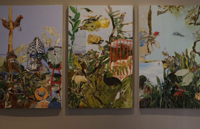 Exposição na Casa França Brasil valoriza as paisagens fluminenses