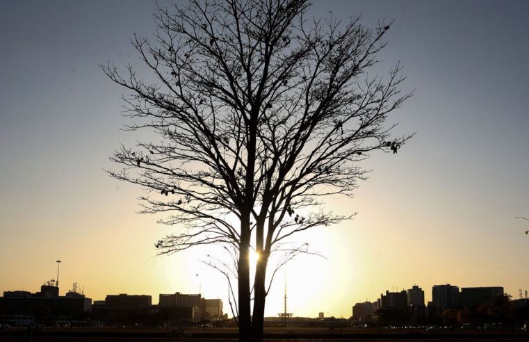 Temperaturas globais devem subir a níveis recordes nos próximos anos