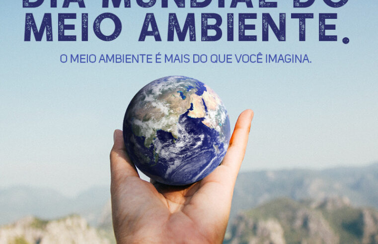 Na semana do meio ambiente, programa Linha Verde traz balanço de denúncias sobre crimes ambientais: Petrópolis está entre as 10 cidades que mais realizaram denúncias