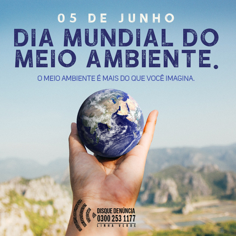 Na semana do meio ambiente, programa Linha Verde traz balanço de denúncias sobre crimes ambientais: Petrópolis está entre as 10 cidades que mais realizaram denúncias