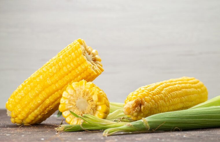 São João: comidas de milho são ricas em vitaminas e minerais, mas devem ser consumidas com moderação