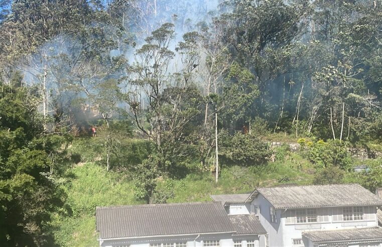 Queimada é registrada em região de mata na Rua Coronel Veiga em Petrópolis