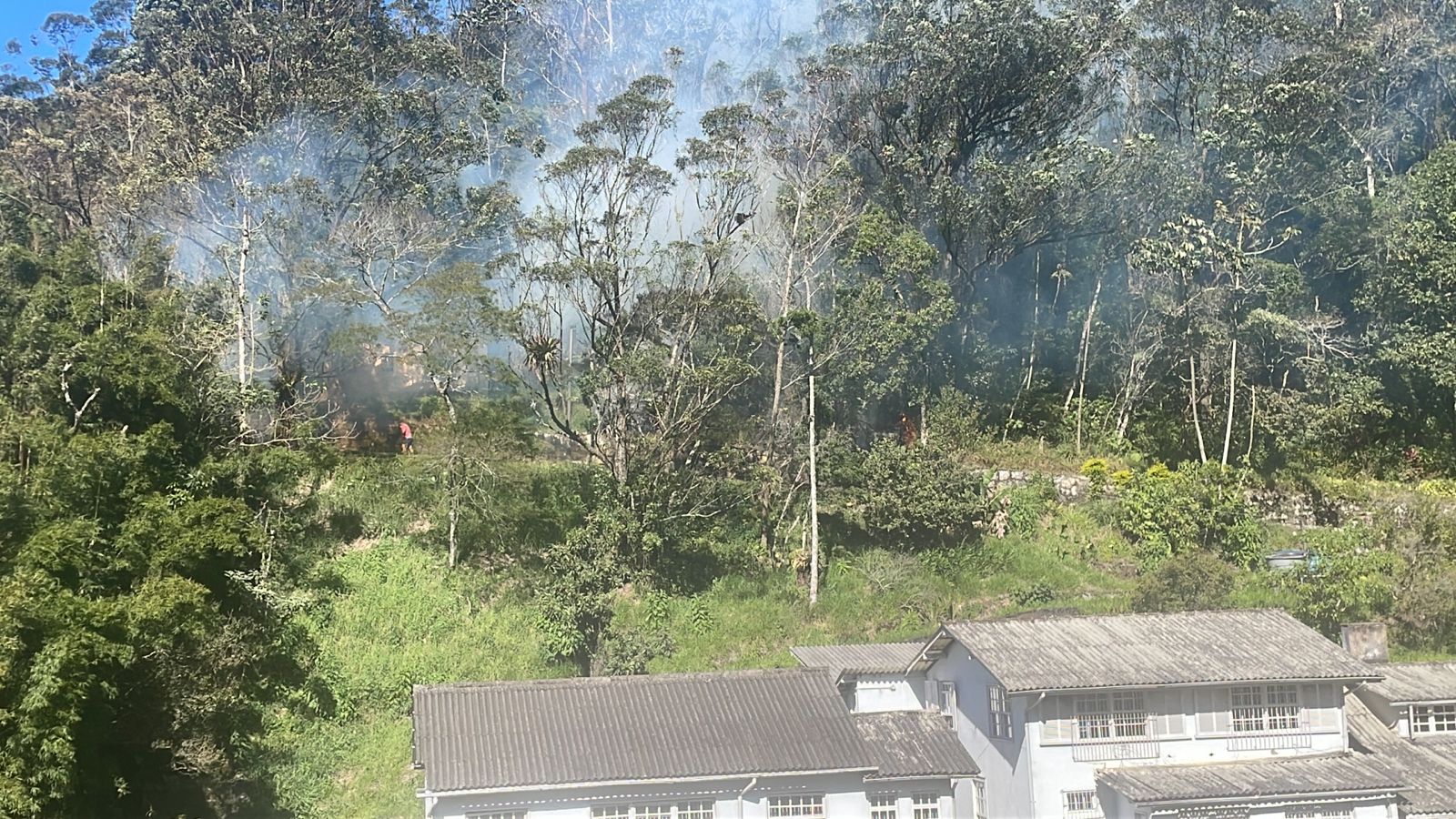 Queimada é registrada em região de mata na Rua Coronel Veiga em Petrópolis
