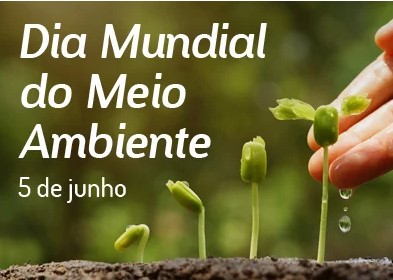 PRF, Ibama, Polícia Civil e EcoRioMinas promovem operação conjunta pelo Dia Mundial do Meio Ambiente